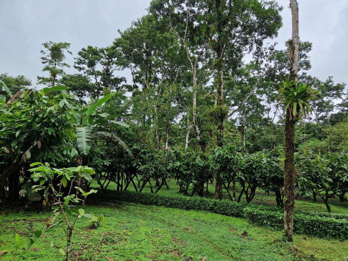 Finca Amistad Cacao Lodge Bijagua Exterior photo