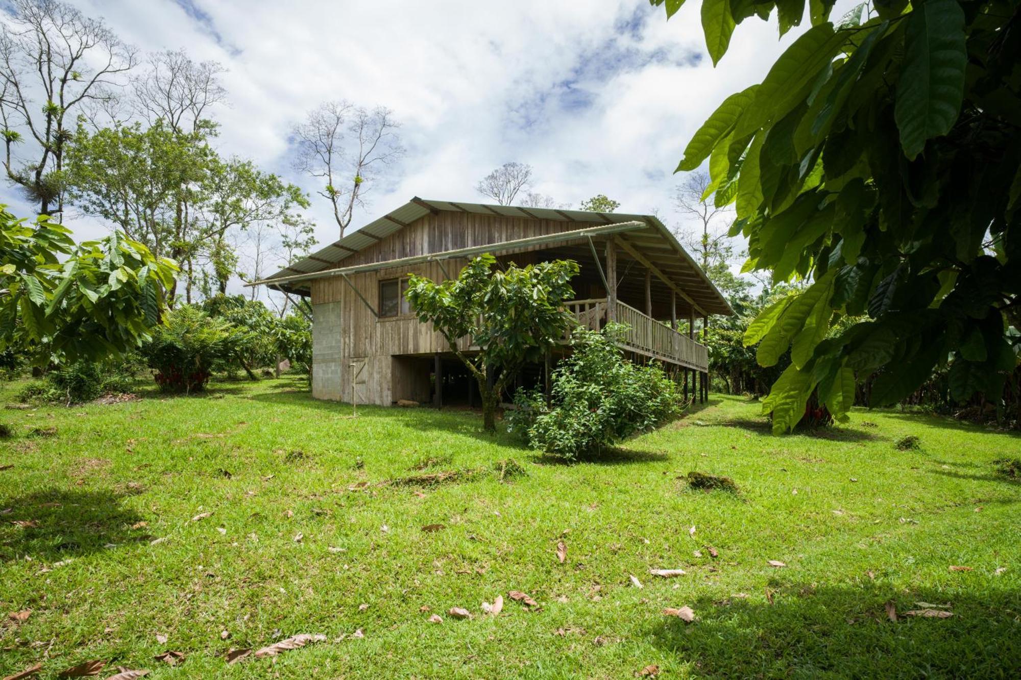 Finca Amistad Cacao Lodge Bijagua Exterior photo