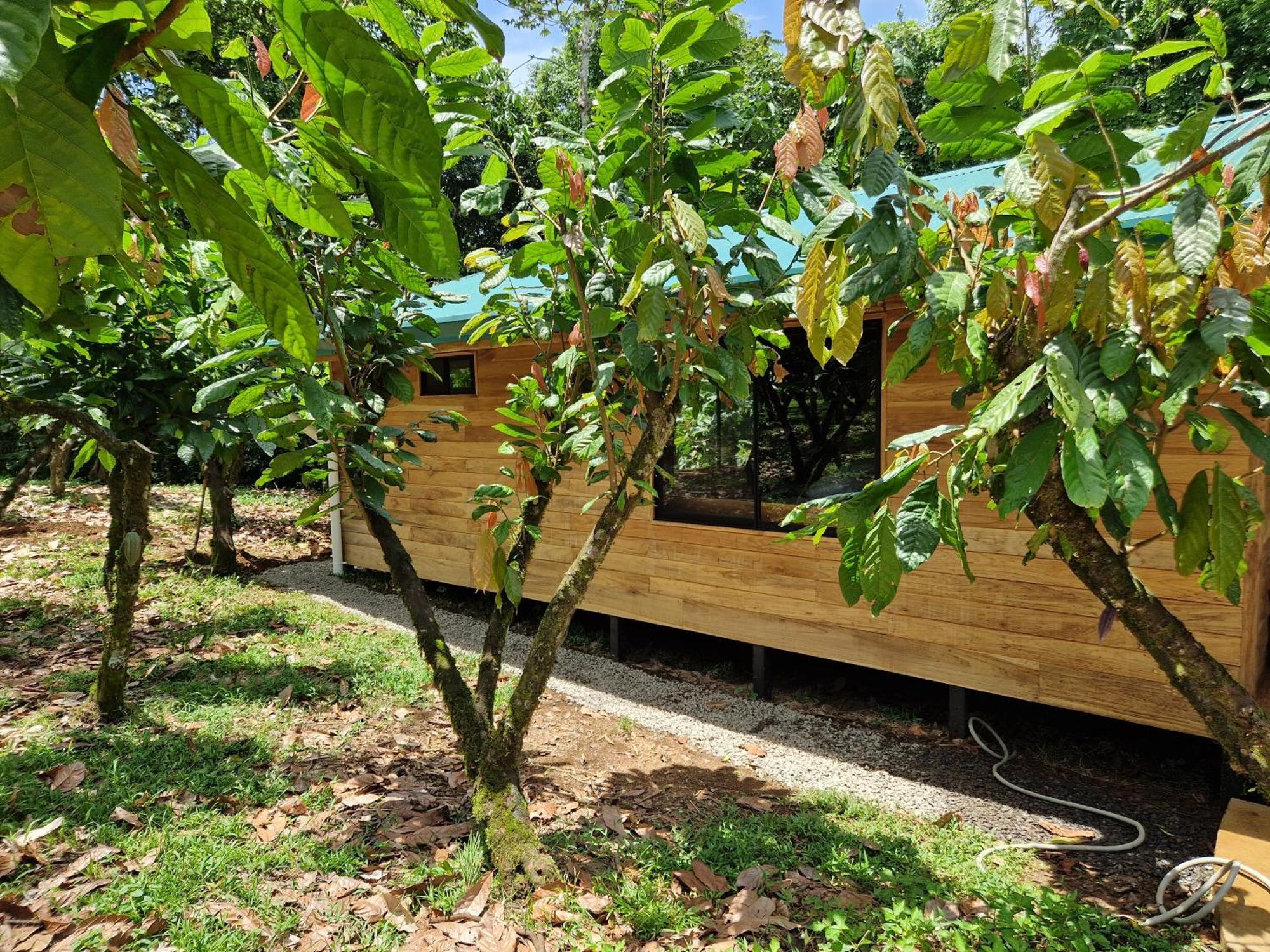 Finca Amistad Cacao Lodge Bijagua Exterior photo