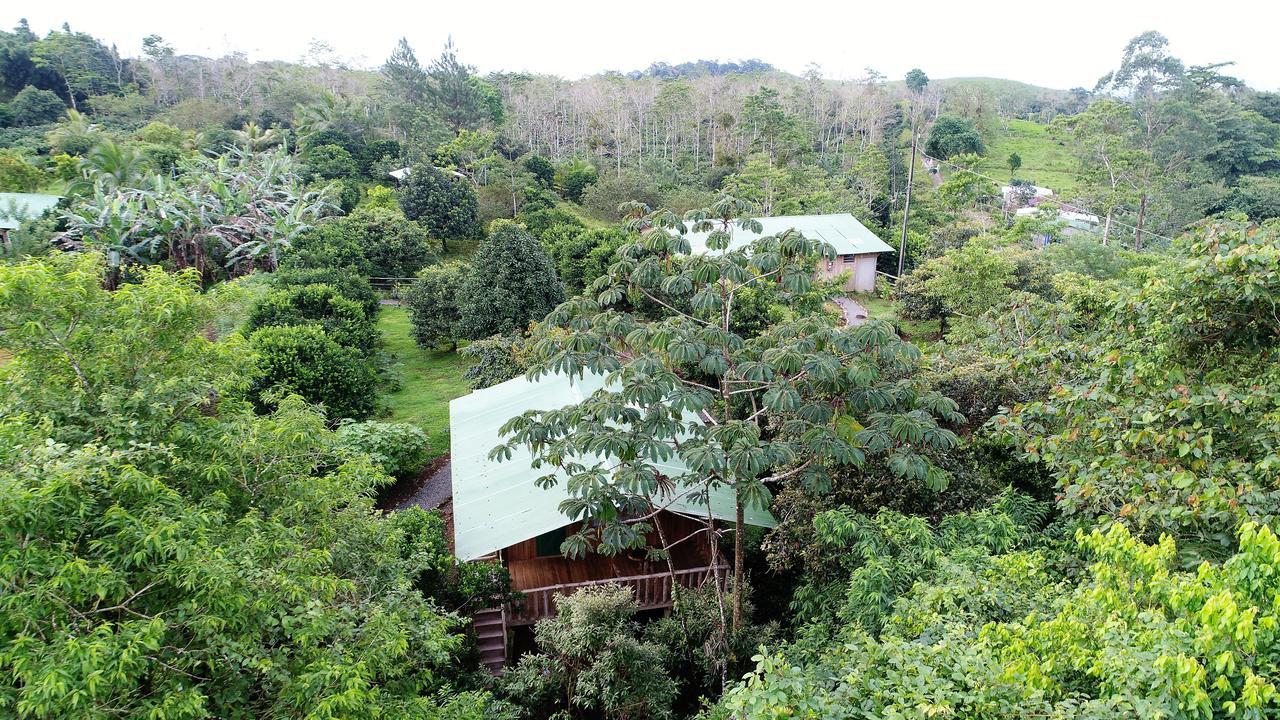 Finca Amistad Cacao Lodge Bijagua Exterior photo