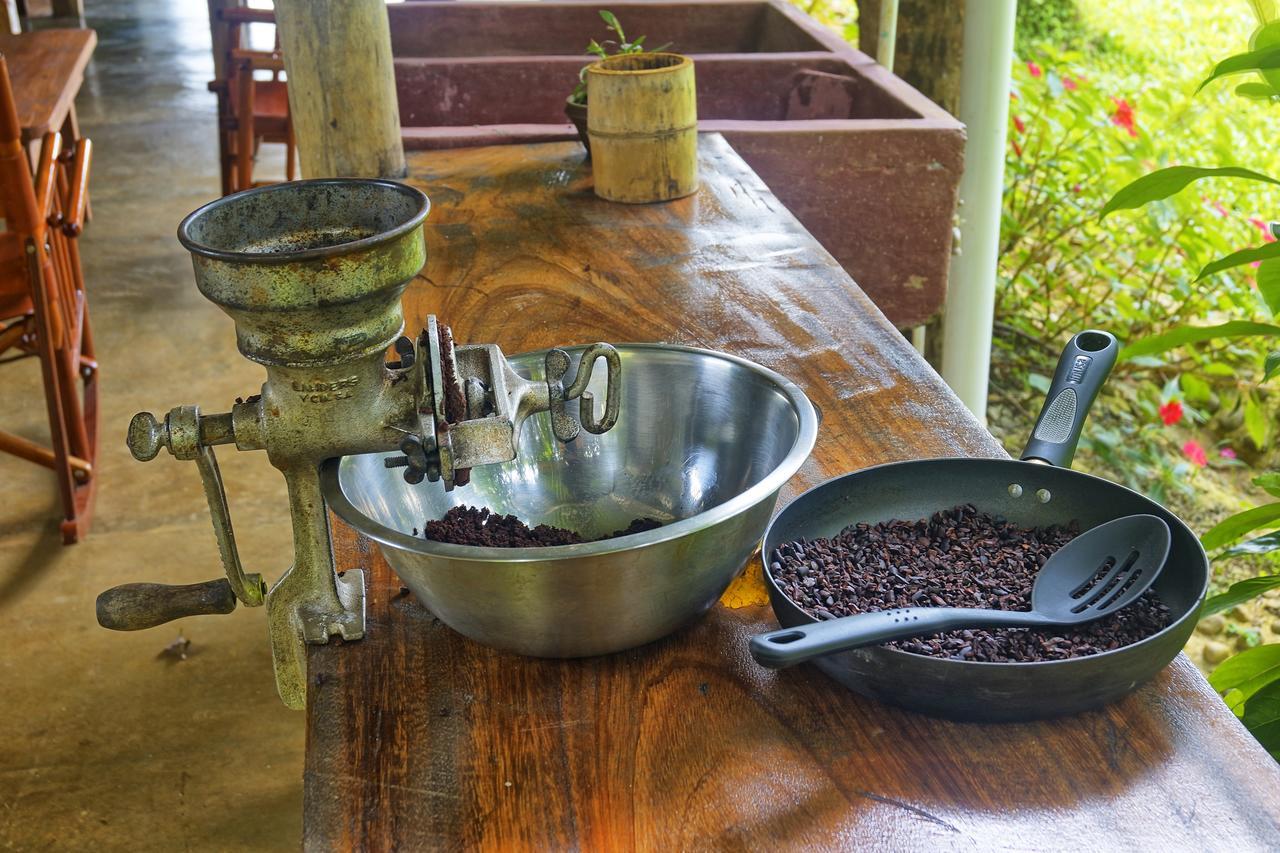 Finca Amistad Cacao Lodge Bijagua Exterior photo